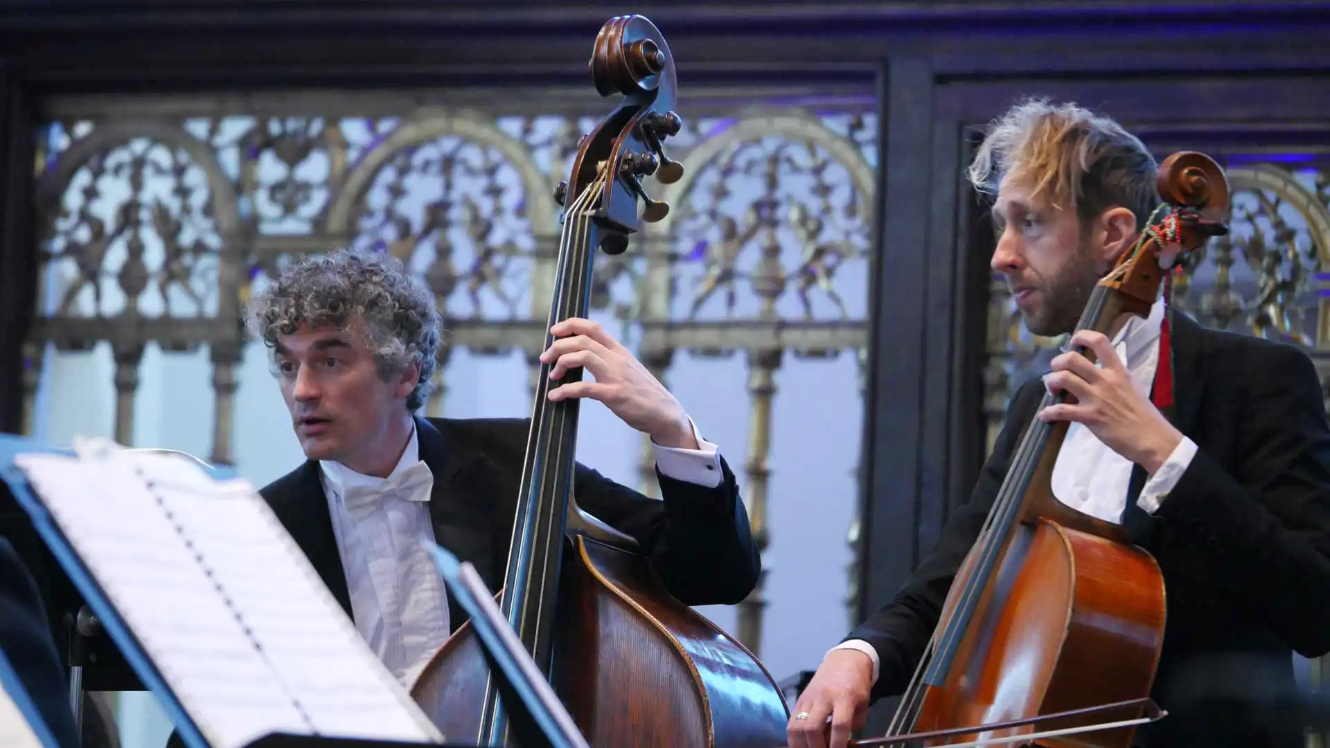 Geconcentreerde contrabassist en cellist van The Bach Orchestra of the Netherlands tijdens een klassiek concert.