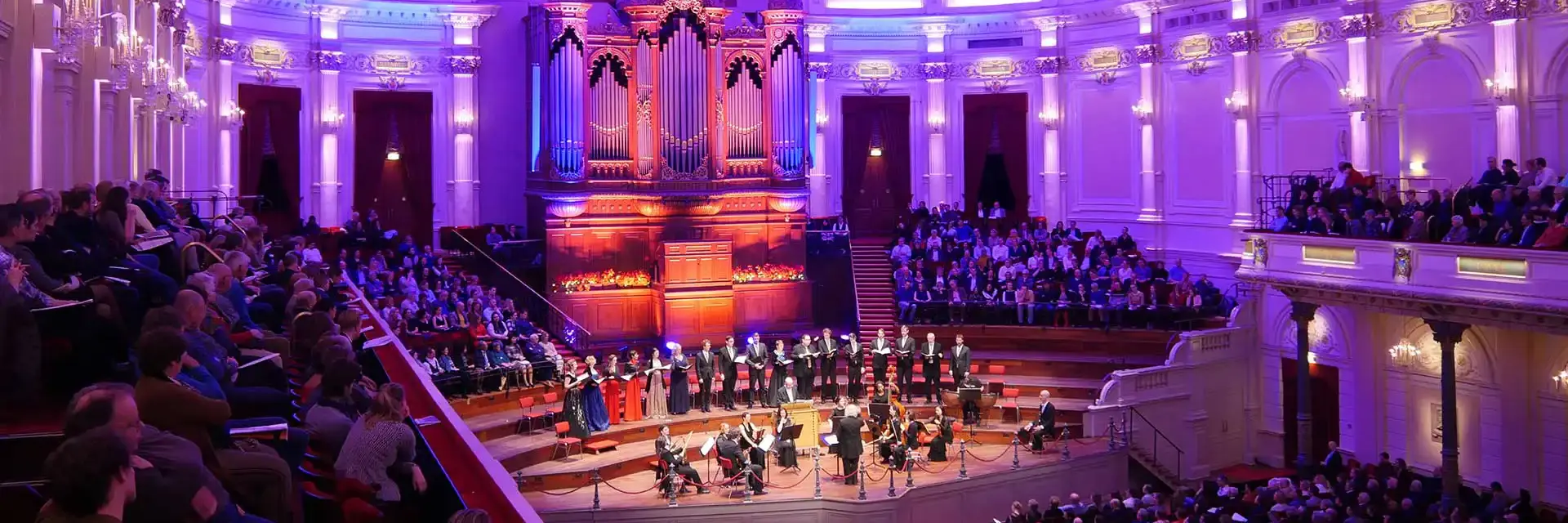 The Bach Orchestra of the Netherlands tijdens een concert in de grote zaal van Het Concertgebouw